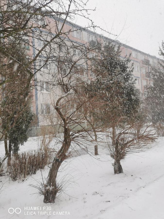 Apartmán Apartament Wiewiorka Gdaňsk Exteriér fotografie