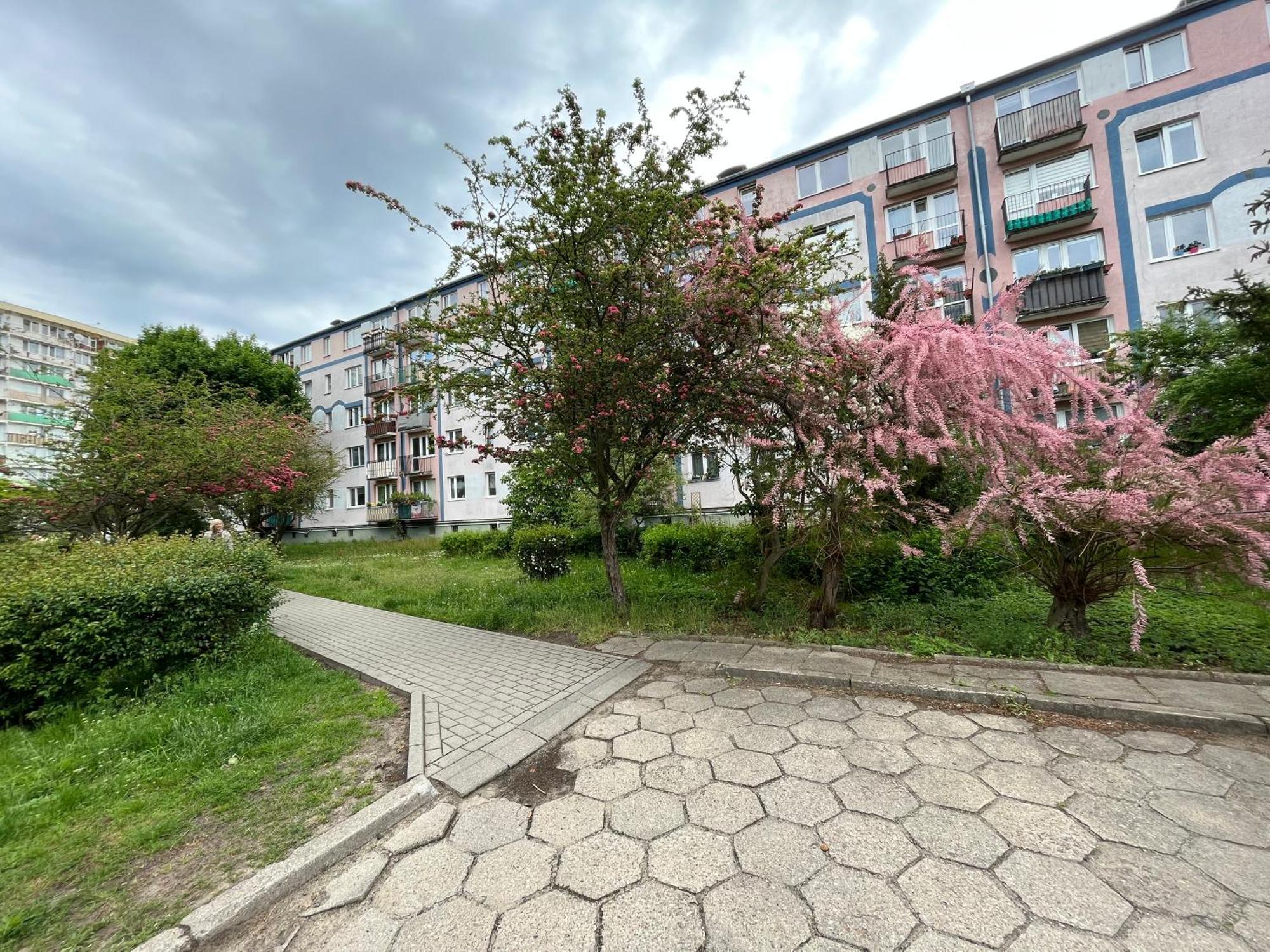 Apartmán Apartament Wiewiorka Gdaňsk Exteriér fotografie